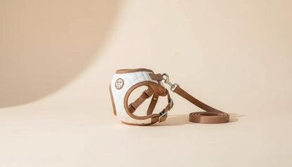 Pet Portable Crossbody Carrier Bag