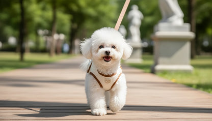 Pet Portable Crossbody Carrier Bag